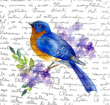 Bird of Spring vector Stock Illustration