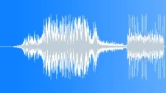 Bird Squawk Indoor Distant Sound Effect