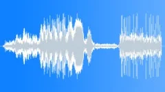 Bird Squawk Indoor Distant Sound Effect