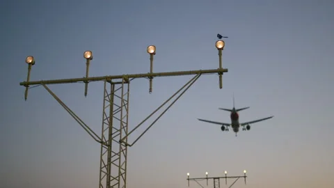 Bird standing at airport lights while a plane lands Stock Footage 195935924