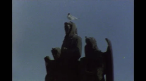 Bird on Statue on Charles Bridge, Prague Super 8 Stock Footage 49976624