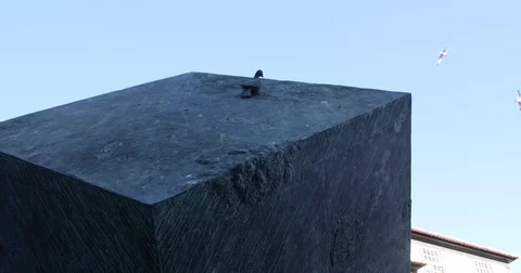 Bird statue cube slider 2 Stock Footage 78237653
