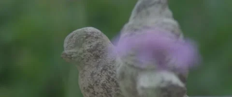 Bird Statue in a garden Stock Footage 137040763