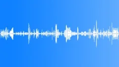 BIRD, STORKSound Effect