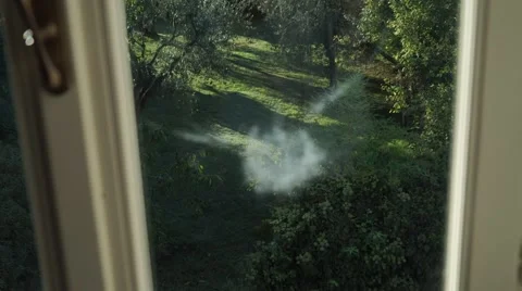 BIRD STRIKES THE WINDOW Stock Footage 67858554