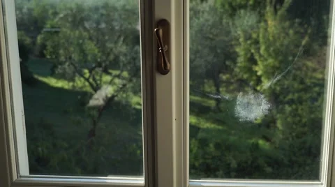 BIRD STRIKES THE WINDOW Vídeos de archivo 67858611