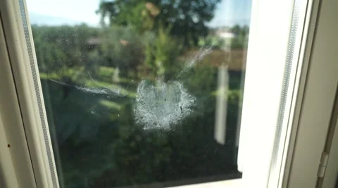 BIRD STRIKES THE WINDOW 스톡 동영상 67858661