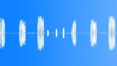 BIRD, SUMMER TANAGER Sound Effect