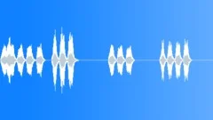 BIRD, SUN CONURESound Effect