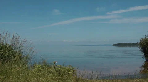 Bird Swoops over Calm Lake Stock Footage 36865940