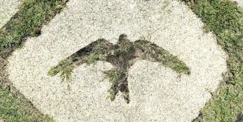 Bird symbol 스톡 사진