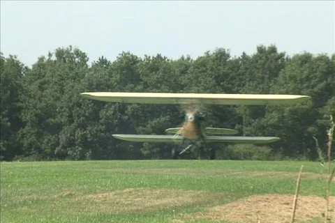 Bird Take Off Stock Footage 683263
