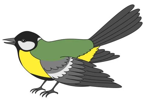 Bird a titmouse Stock Illustration