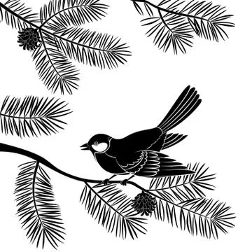 Bird Titmouse on Pine Branch, Cutout Stock Illustration