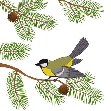Bird Titmouse on Pine Branch Stock Illustration