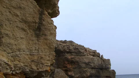 Bird on the Top Stockbeeldmateriaal 995532