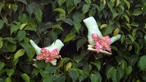 Bird toys on the tree Video stock 119748147