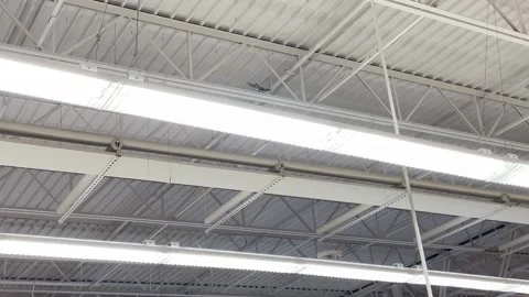 Bird trapped indoors in the ceiling rafters flying around  2 Stock Footage 184655240