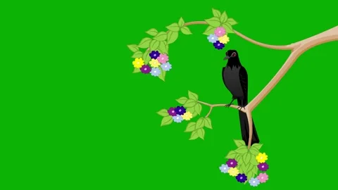 Bird on Tree Branch Animation – Green Screen. Beautiful bird sitting and playing Stock Footage 325495513