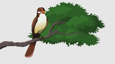 Bird on Tree Branch Animation with Transparent Background. Playful bird resting  Video stock 325497695
