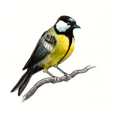 Bird on a tree branch Illustrazione stock