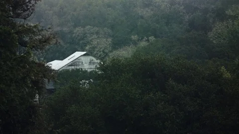 Bird in Tree Flying Away Stockbeeldmateriaal 85055923