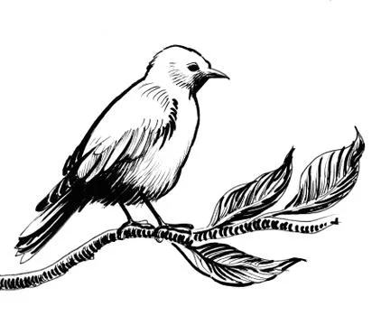 Bird on a tree Illustrazione stock