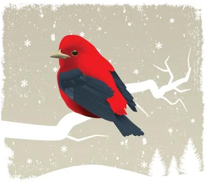 Bird on tree -  winter Stock Illustration