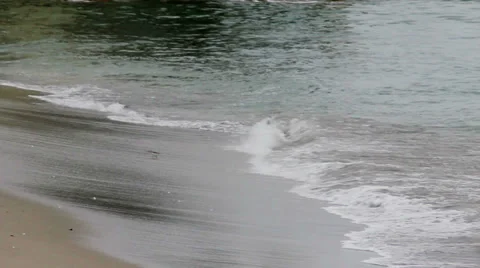 Bird Trying to Avoid Ocean Waves 動画素材 35365045