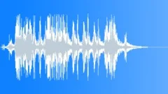 Bird TweetingSound Effect