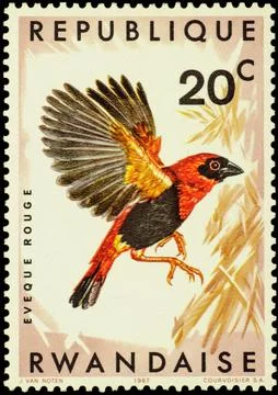 Bird Ukamba Red Bishop (Euplectes orix nigrifrons) on postage stamp Stock Photos