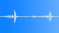 BIRD UNKNOWN WARBURTON CALL03 Sound Effect