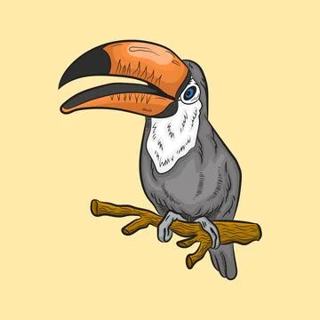 Bird vector illustration 스톡 일러스트