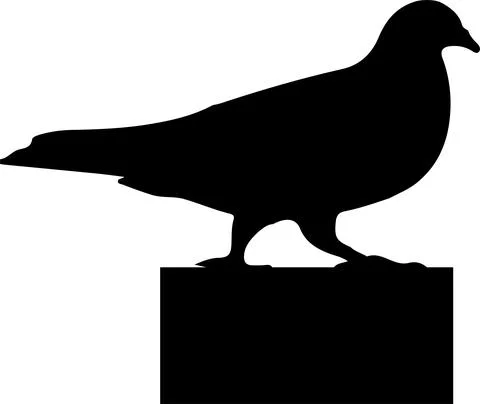 Bird vector illustration isolated on background Illustrazione stock
