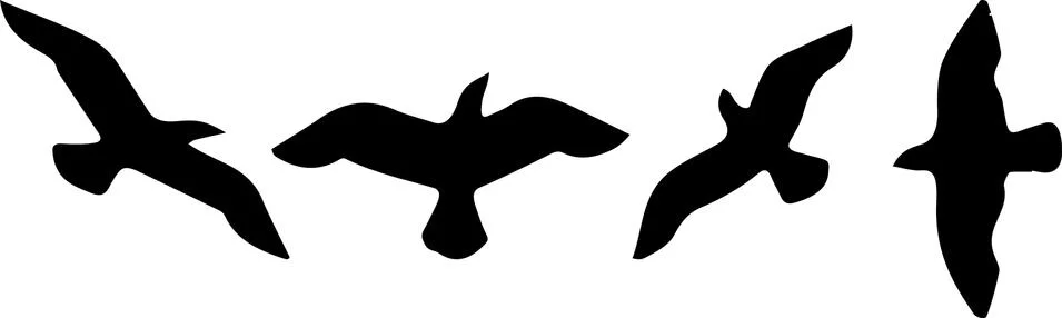 Bird vector illustration isolated on background Stock Illustration