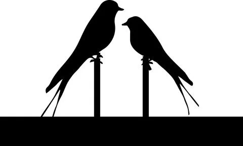 Bird vector illustration isolated on background Stock Illustration