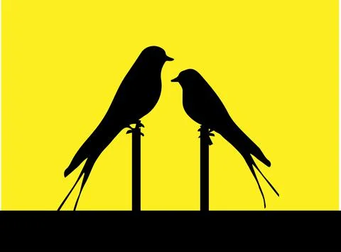 Bird vector illustration isolated on background 스톡 일러스트