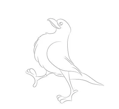 Bird vector illustration, line drawing, vector Stock Illustration