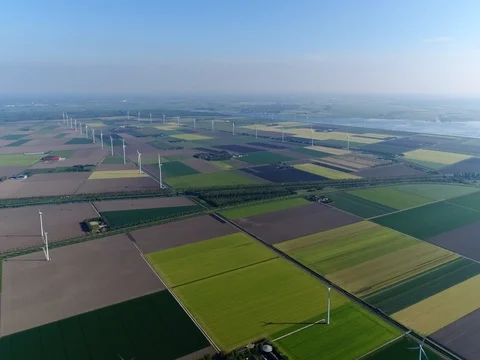 Bird view aerial of polder landscape showing farm land and wind turbines Stock Footage 80420772