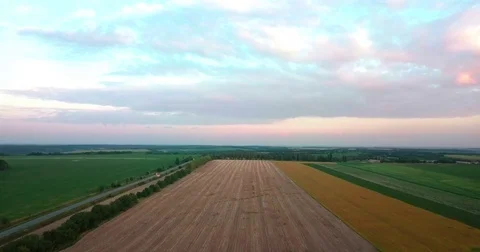 Bird view of landscape, flying above, 4k video. Stock-Footage 79005232