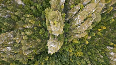 Bird view of magic rock towers in the autumn forest mountains nature Stock Footage 289895666