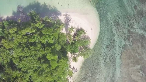 Bird View of a Pristine Beach and Tropical Forest in Costa Rica Stock Footage 77382605