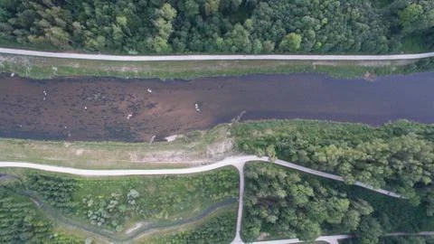 Bird view from a river 写真素材