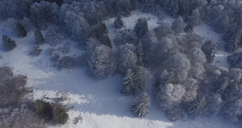 Bird view of Snow Forest in Mt.Salève Stock Footage 85674176