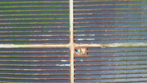 Bird view solar field Video stock 248057562