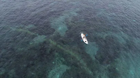 Bird view of two men paddling on kayak in turquoise water Stock Footage 107407061