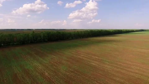 Bird view two tractor on ploughed field Stock Footage 69219208