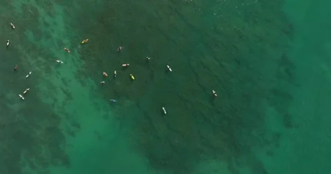 Bird view of Waikiki Stock Footage 251634129