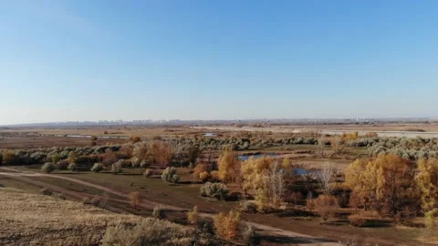 Bird vision Stock Footage 234697001