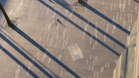 Bird Walking Video stock 77457095